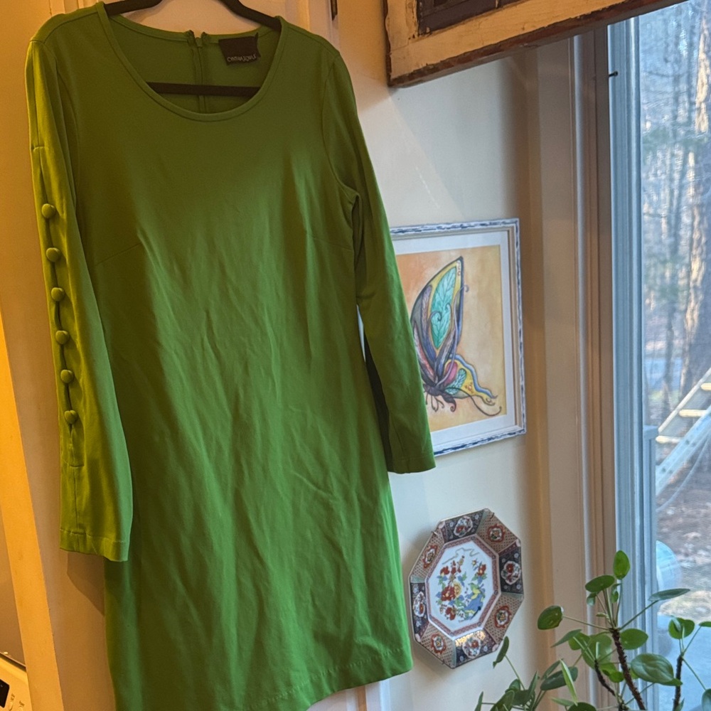Cynthia Rowley Green Button Sleeve Dress